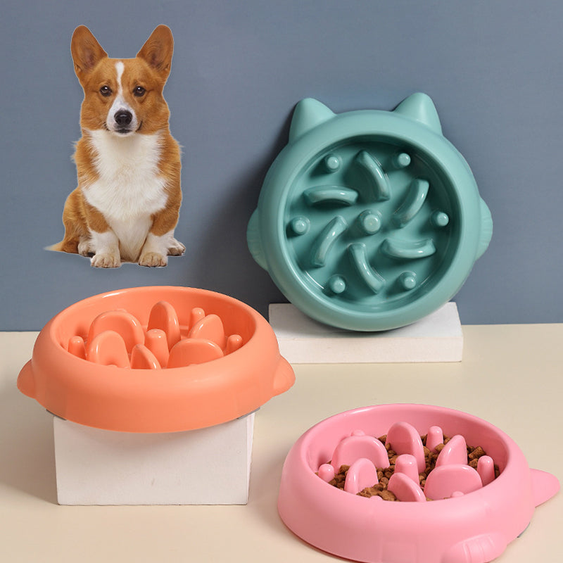 PawVibes™ Anti-Gulping Slow Feeder Dog Bowl