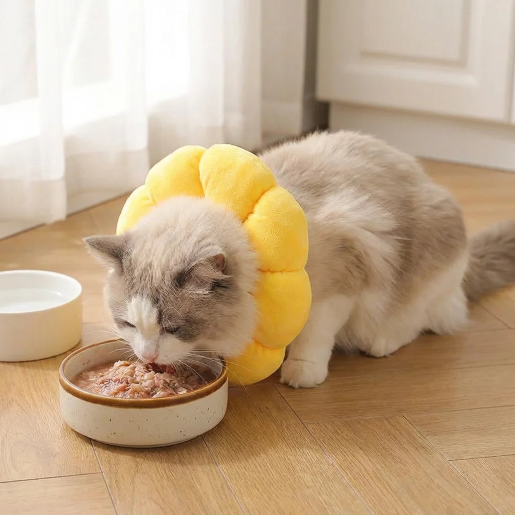 PawVibes™ Sunflower Soft Elizabethan Cat Cone - premium pet product