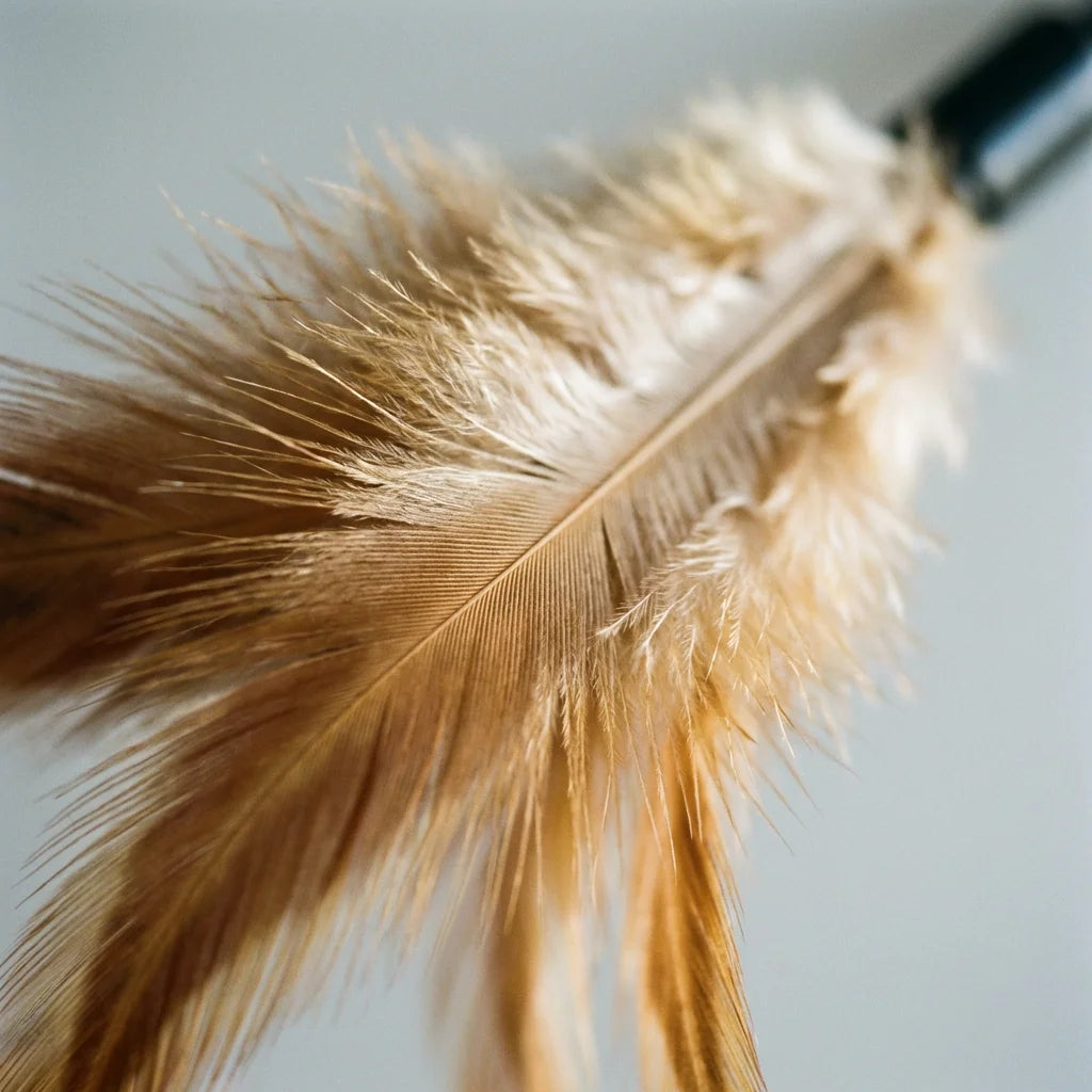 PawVibes Interactive Feather Wand Cat Toy Set - natural feather close-up soft texture detail