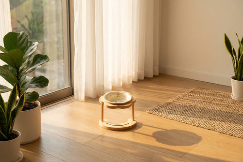 PawVibes™ Aesthetic Ceramic Elevated Pet Bowl for Cats & Dog - premium pet product