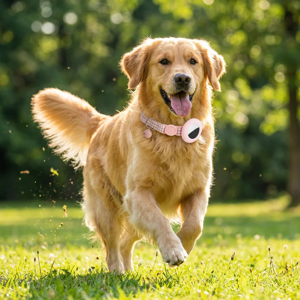 PawVibes™ Soft Silicone Pet GPS Tracker Case (No Monthly Fee - premium pet product